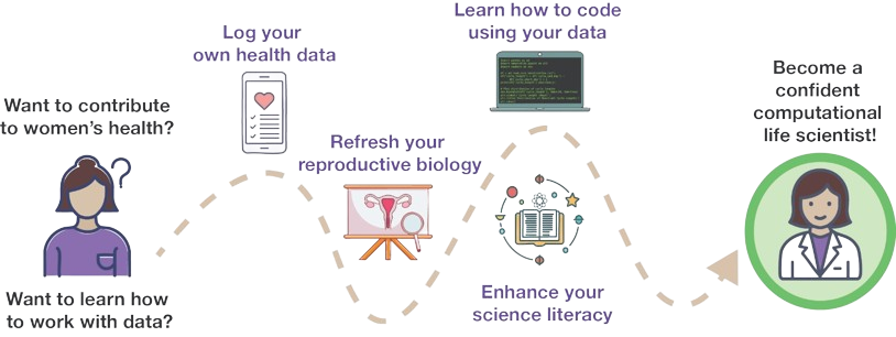 Programme Roadmap